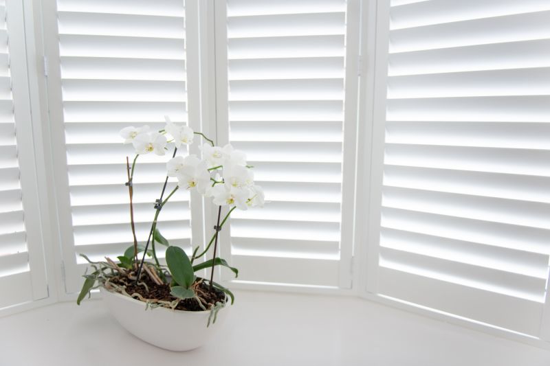 Wood Shutters Installation in Midlothian, VA